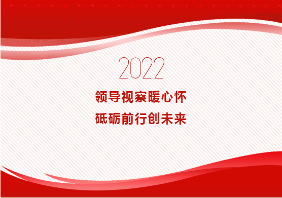 领导视察暖心怀 砥砺前行创未来