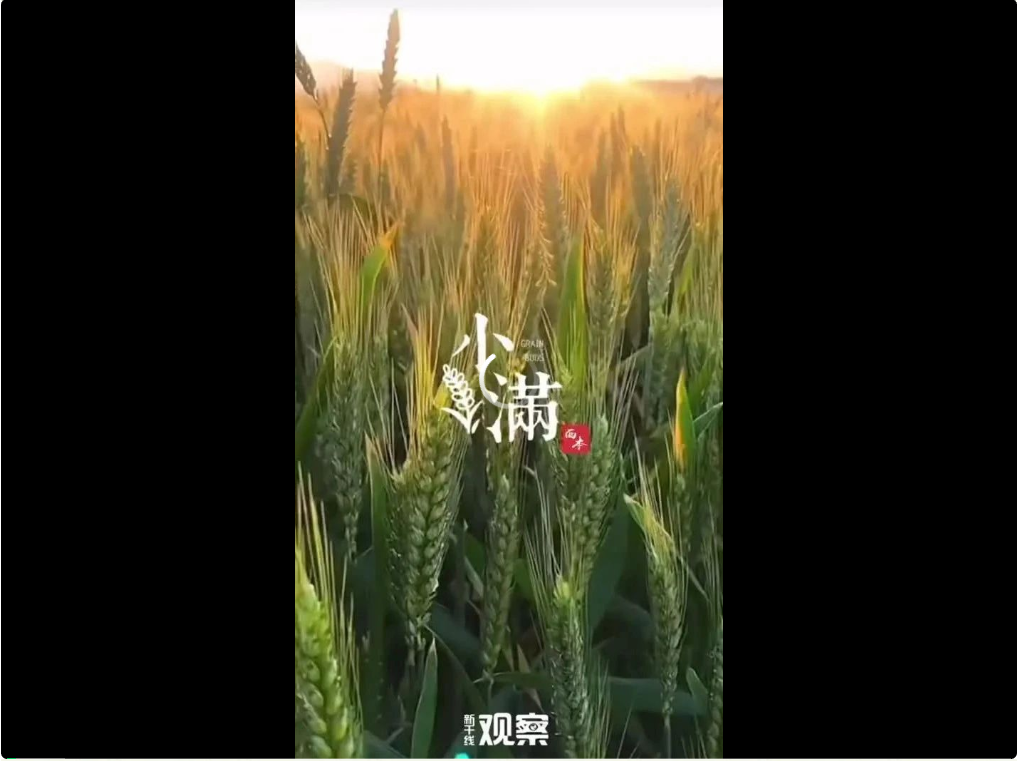 为什么说“人生最好是小满”？