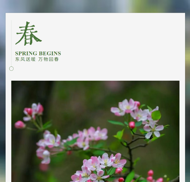 【成外·德育】春日限定——我的美好与致敬