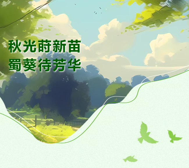 秋光莳新苗，蜀葵待芳华