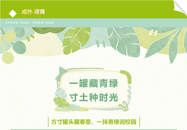【成外·德育】一罐藏青绿，寸土种时光——校园易拉罐盆栽种植活动纪实